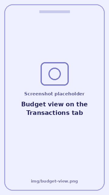 Screenshot: Budget view on the Transactions tab