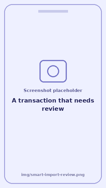 Screenshot: A transaction that needs review